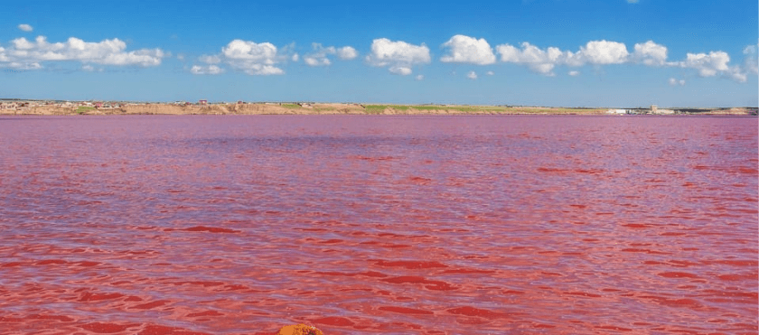 Pink-Lake-2